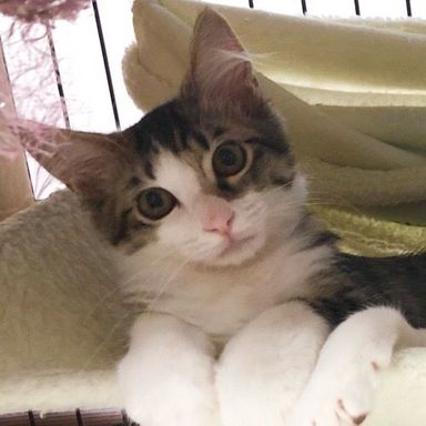名無しちゃんの写真