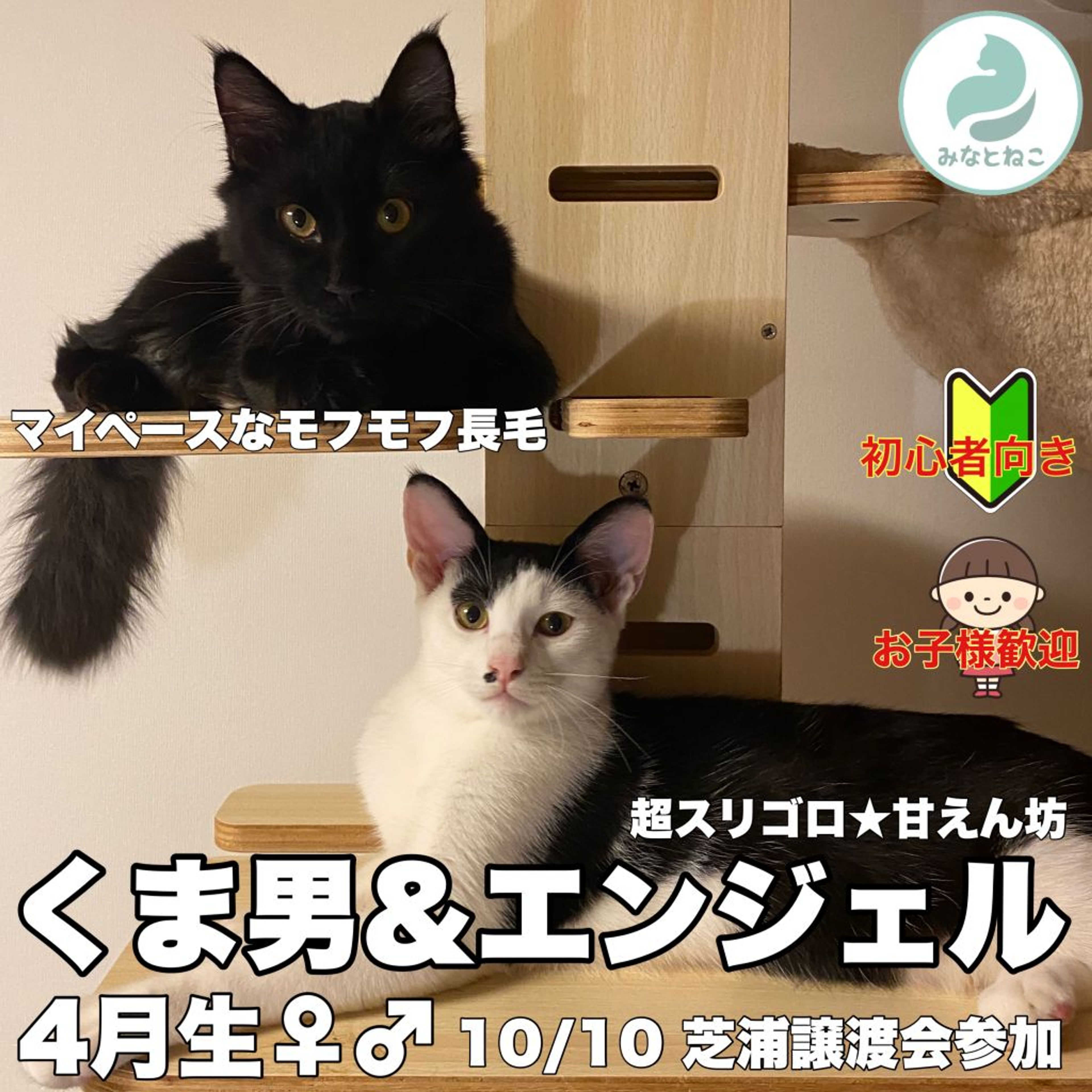 pet-image-4
