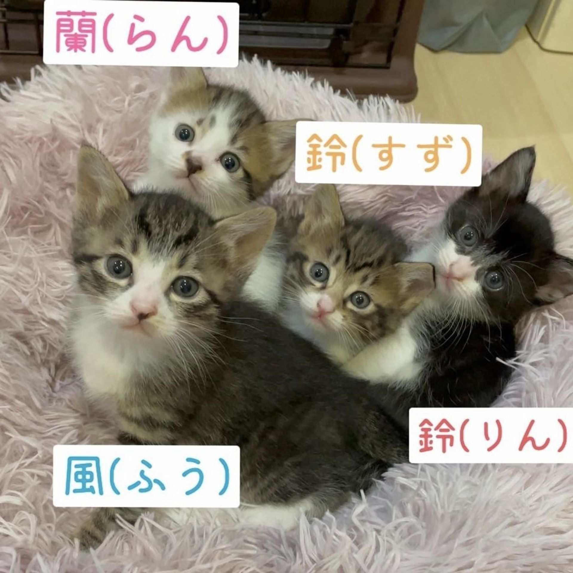 thumbnail-3