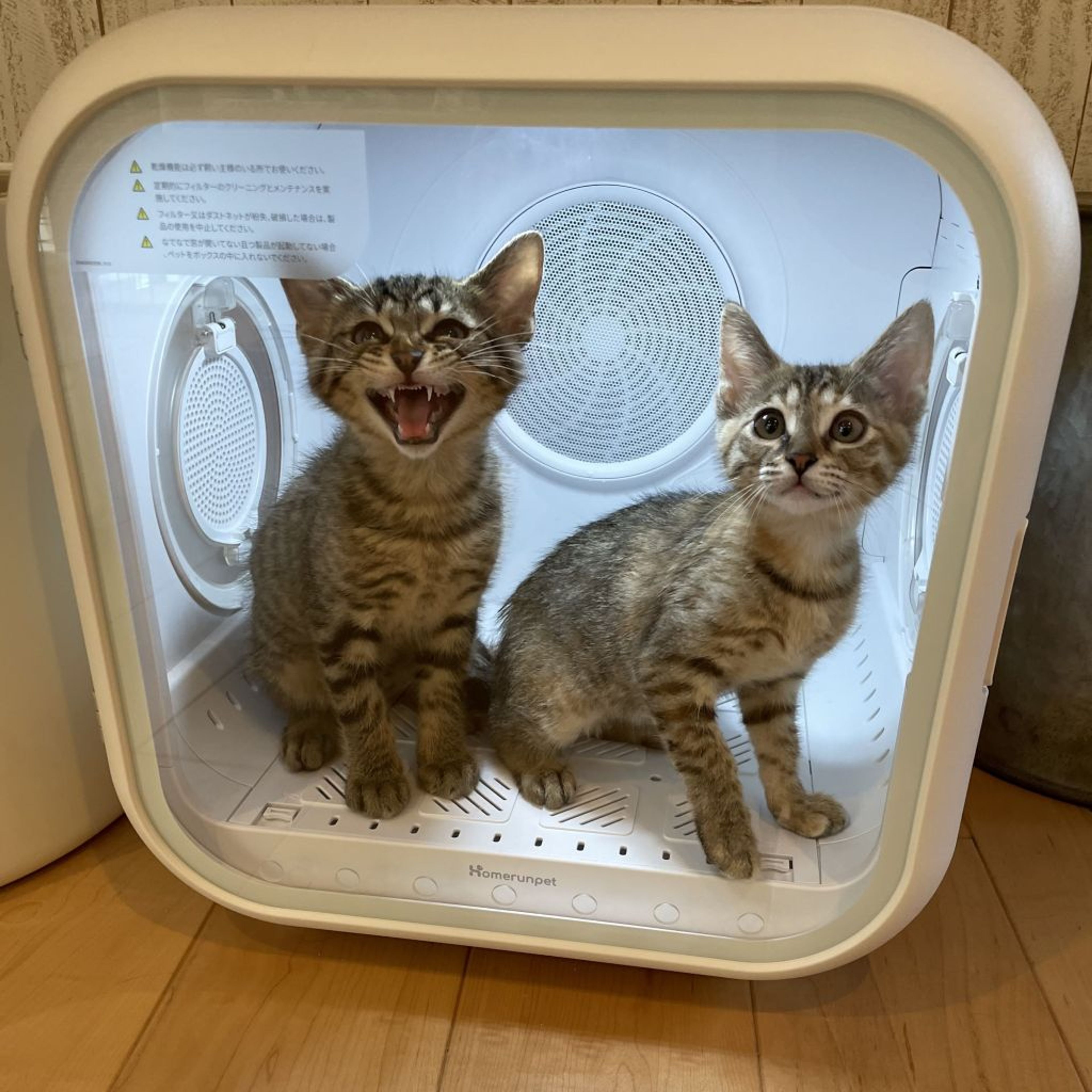 pet-image-2