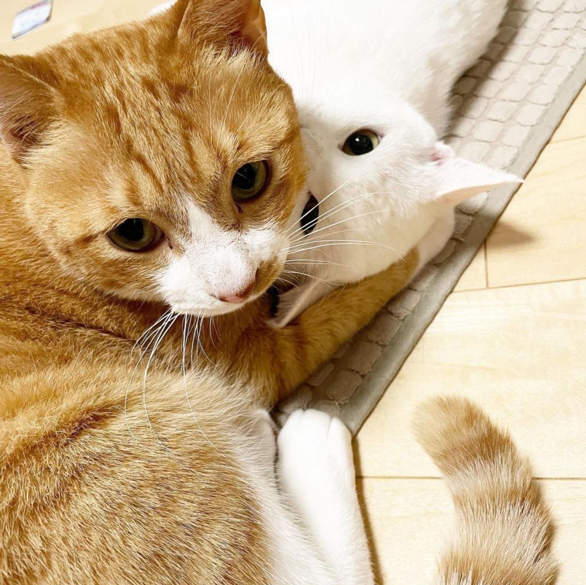 thumbnail-6