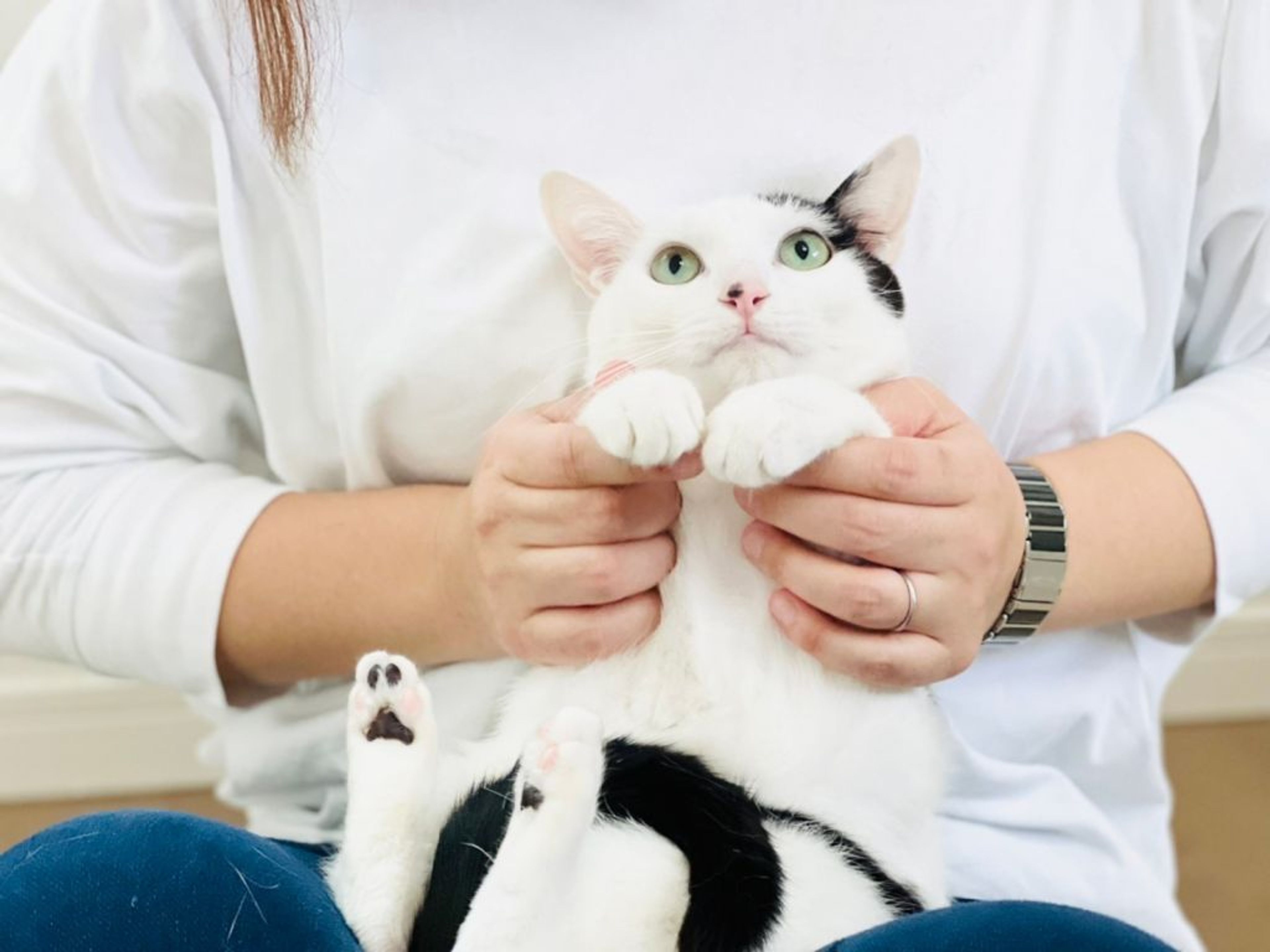 pet-image-7
