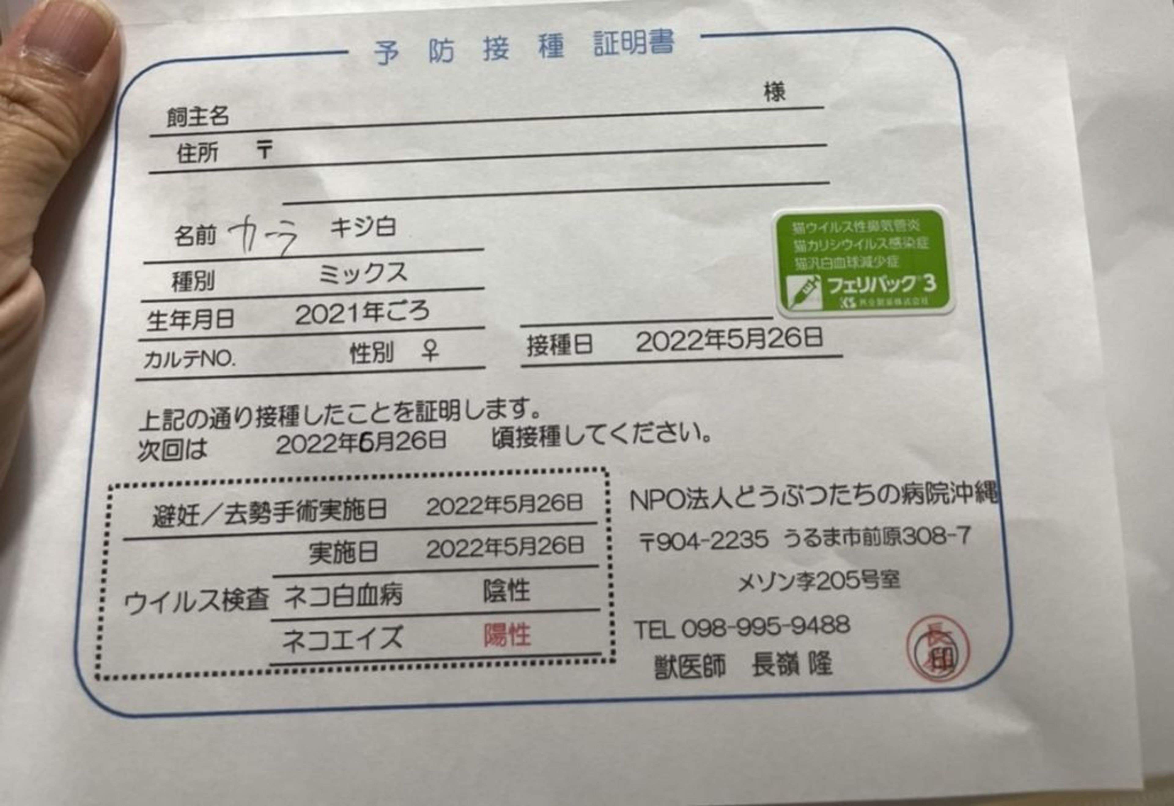 image-2