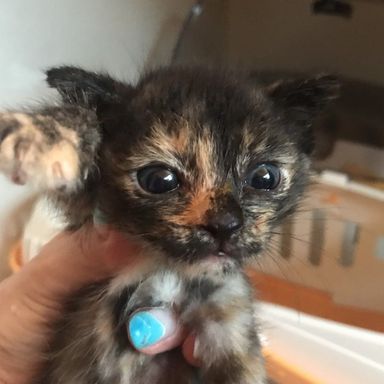 名無しちゃんの写真