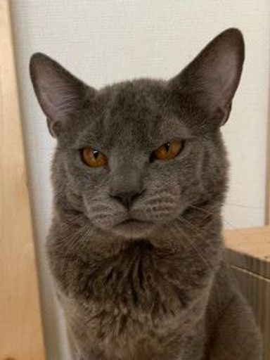 ときわ