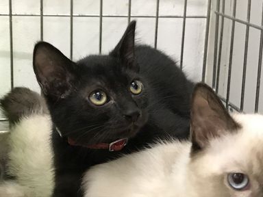 名無しちゃんの写真