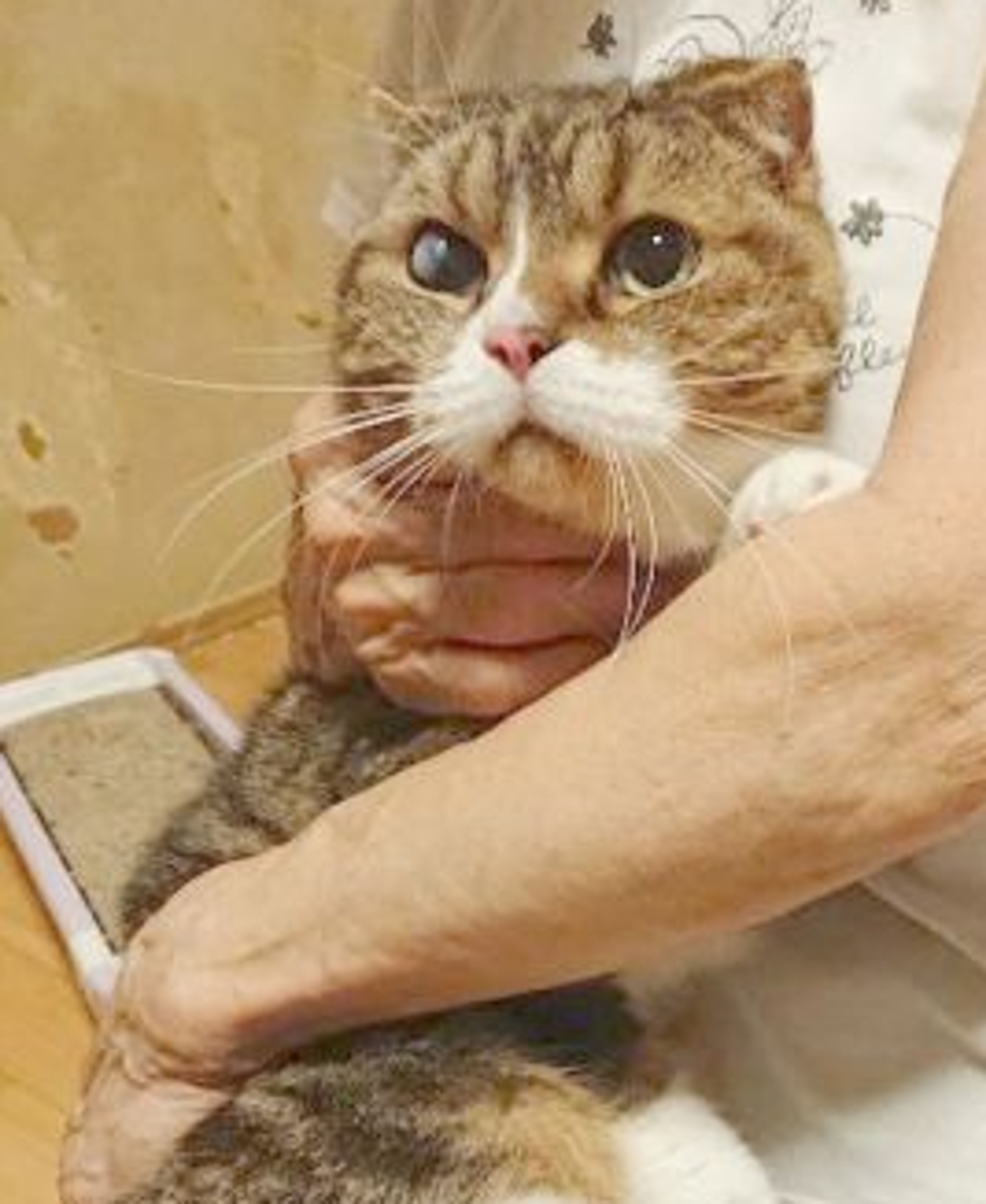 pet-image-3