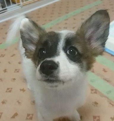 名無しちゃんの写真