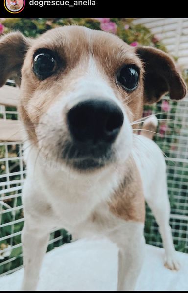 ジムニーの写真