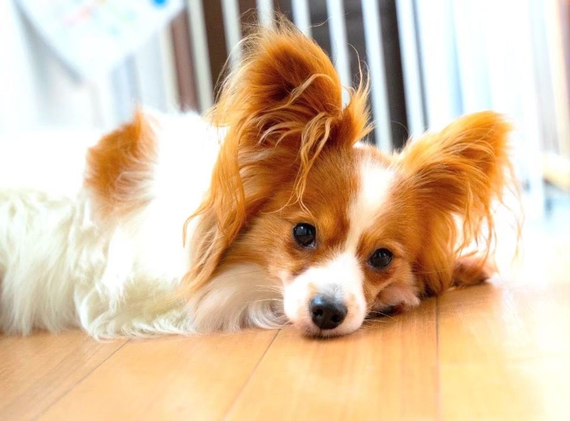 thumbnail-5