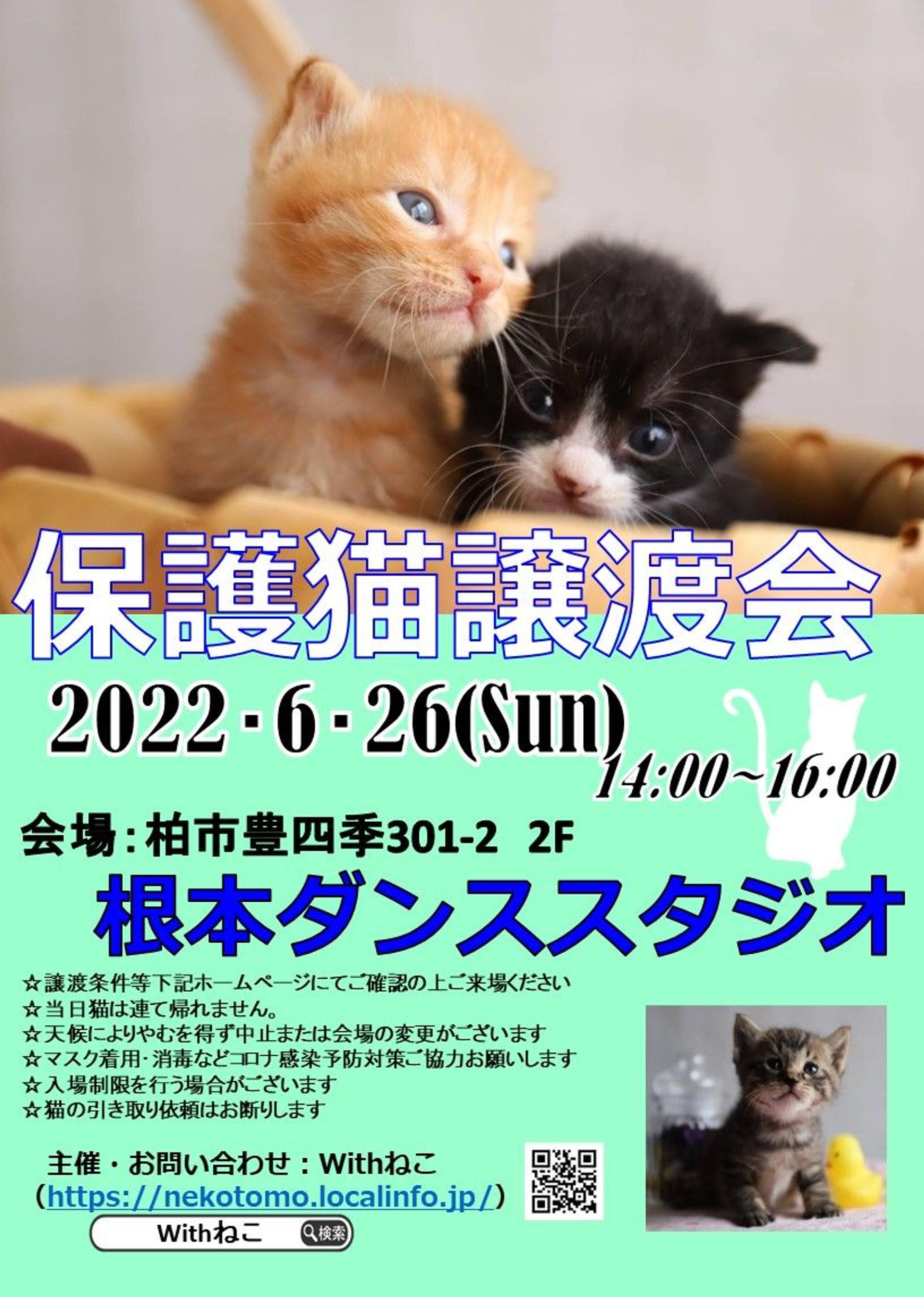 pet-image-7