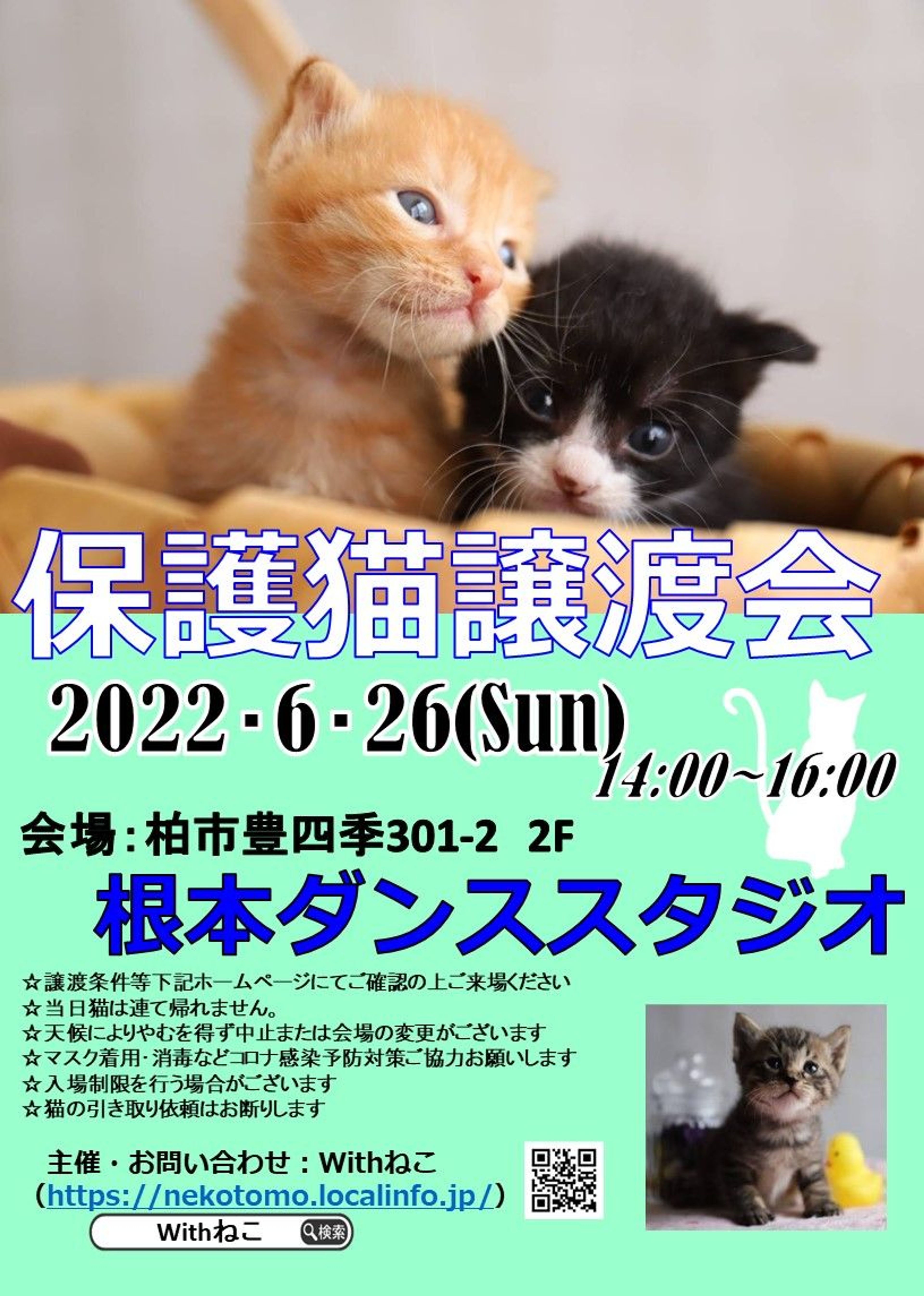 pet-image-7