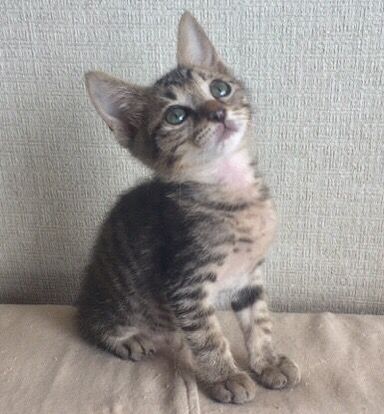 名無しちゃんの写真