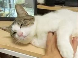 thumb-9