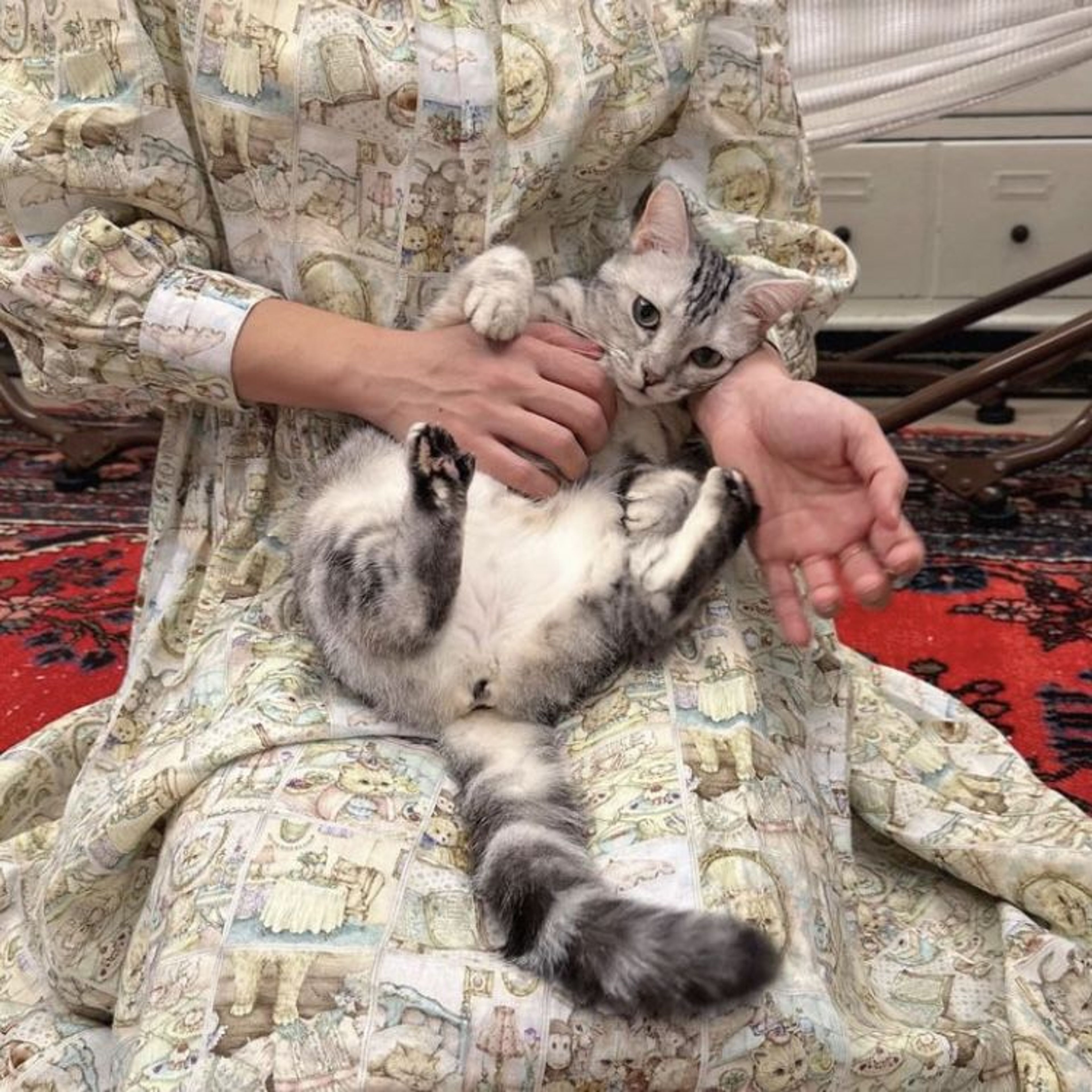 pet-image-3