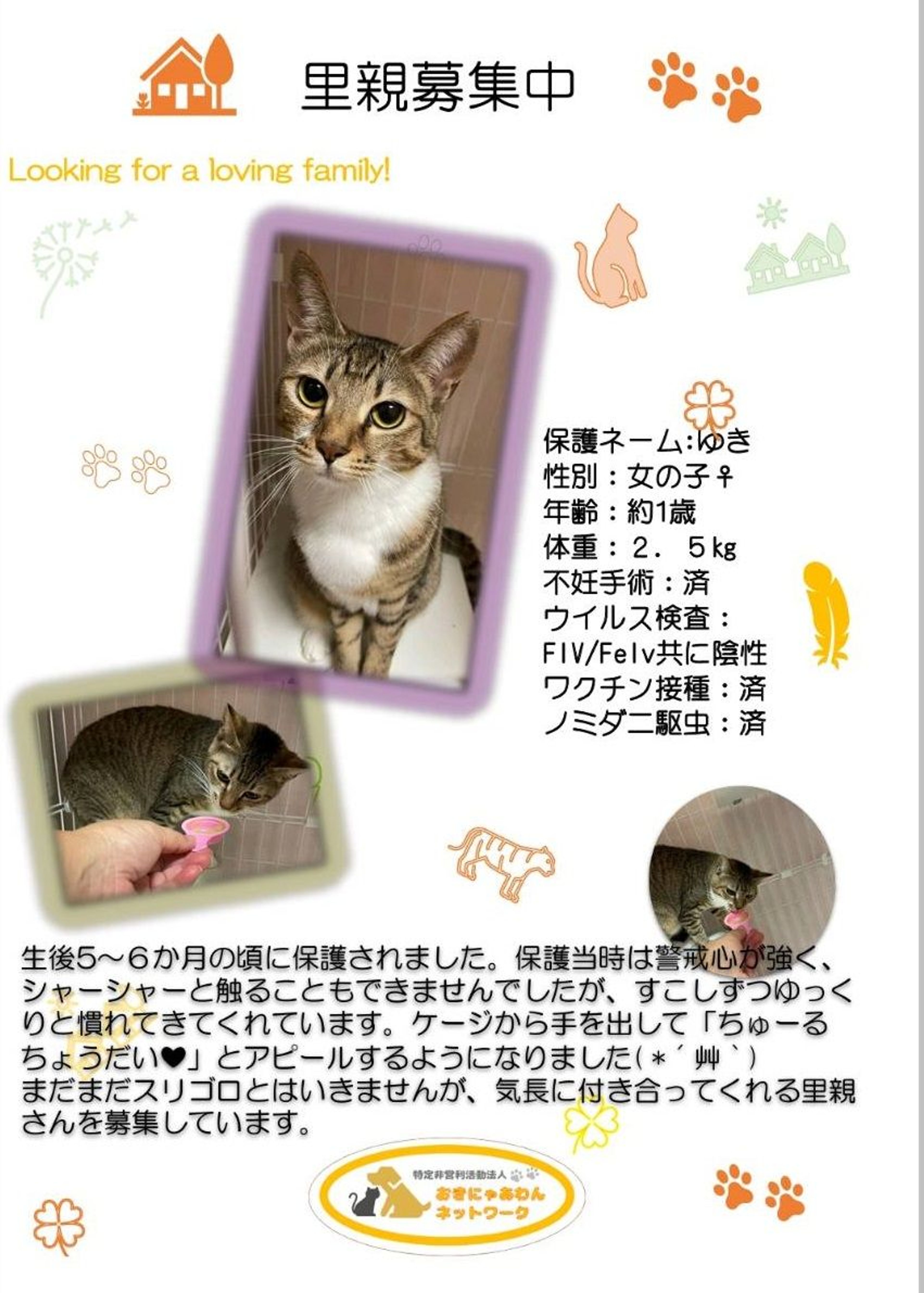 pet-image-3