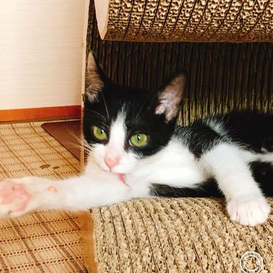 名無しちゃんの写真
