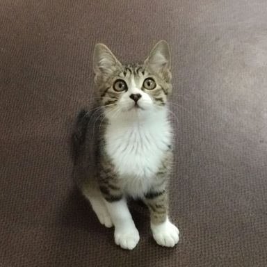 ここなの写真