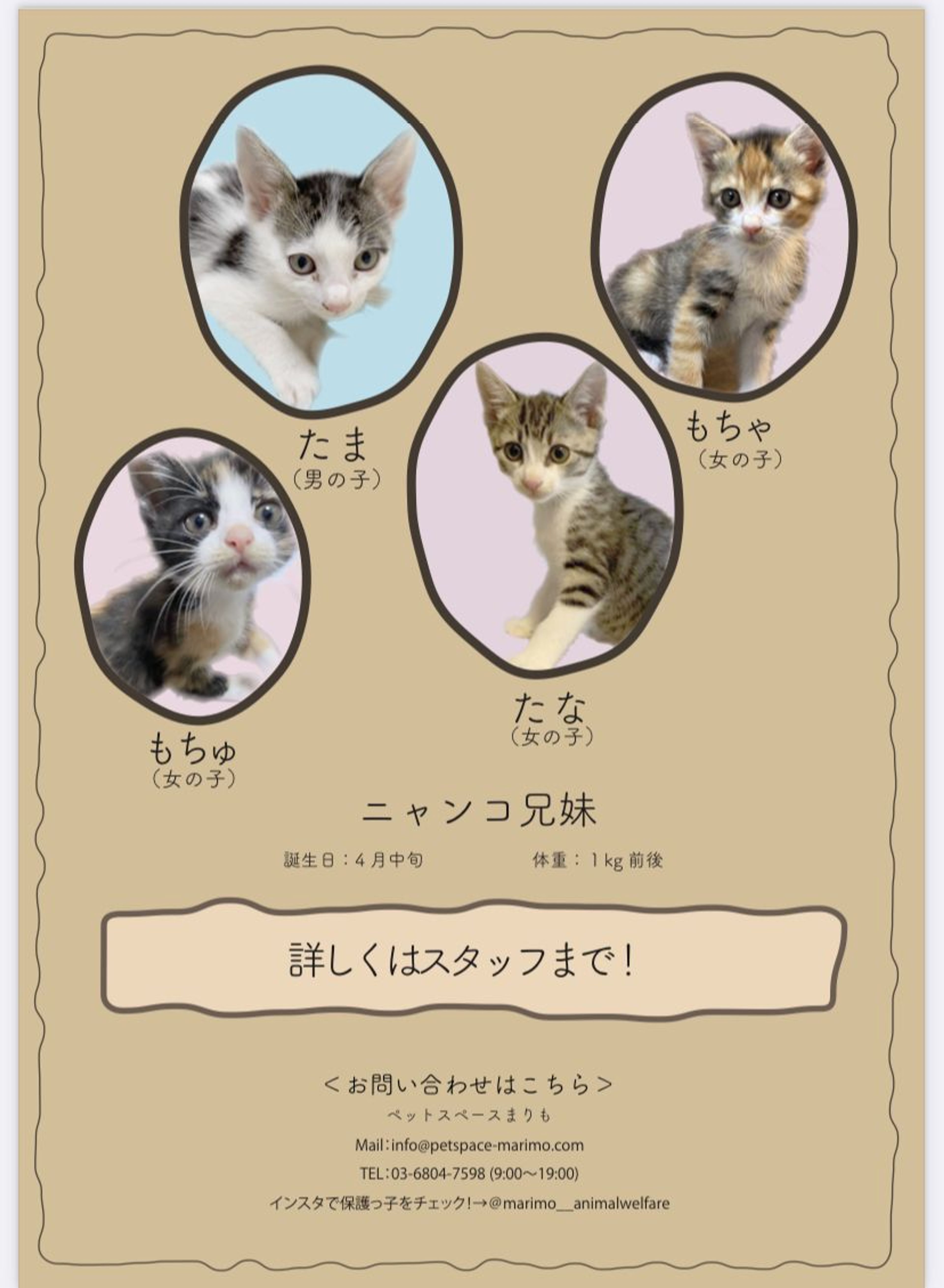 pet-image-3