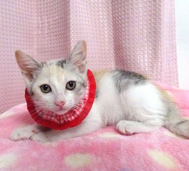 ユリちゃんの写真