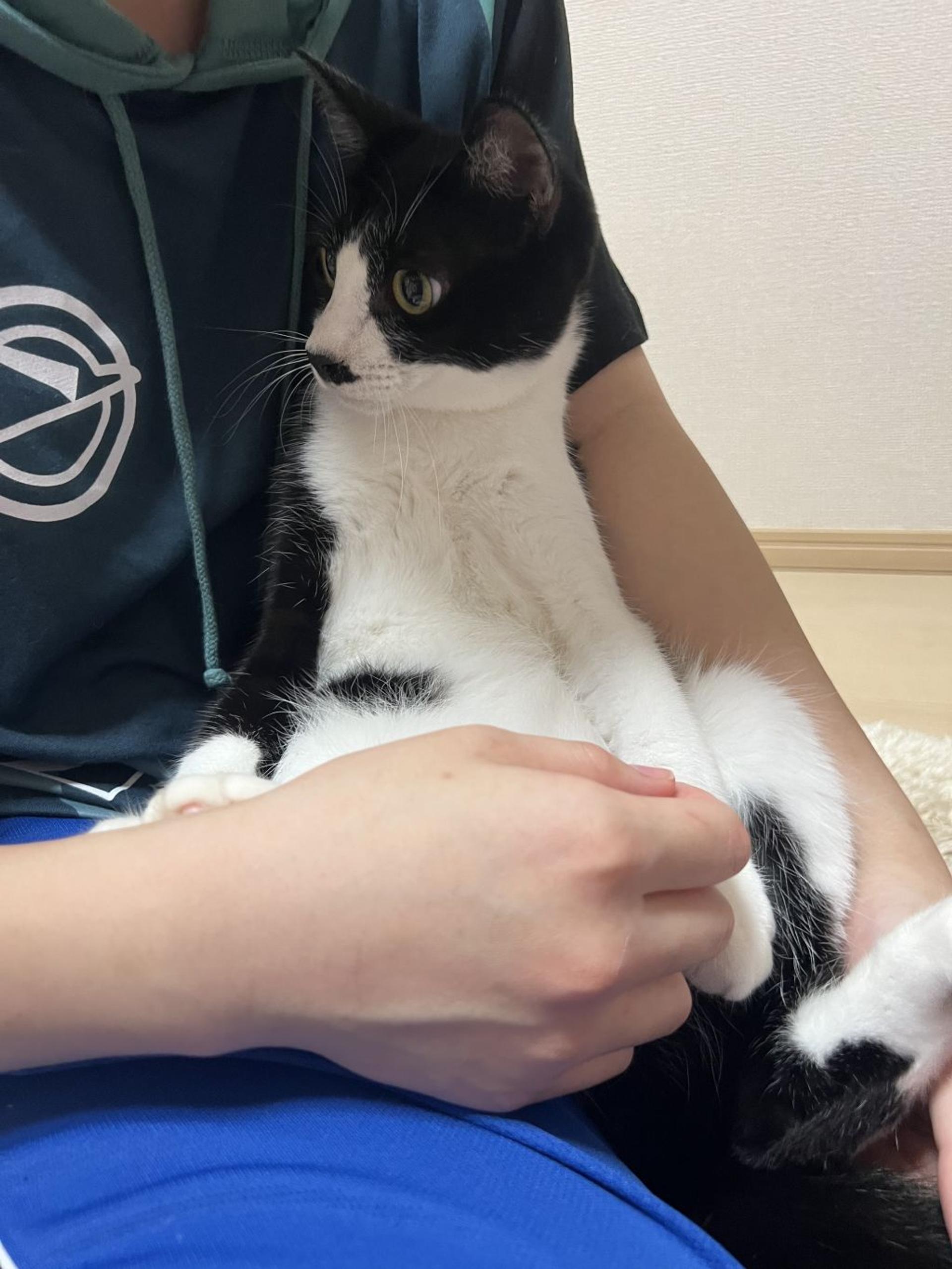 pet-image-2