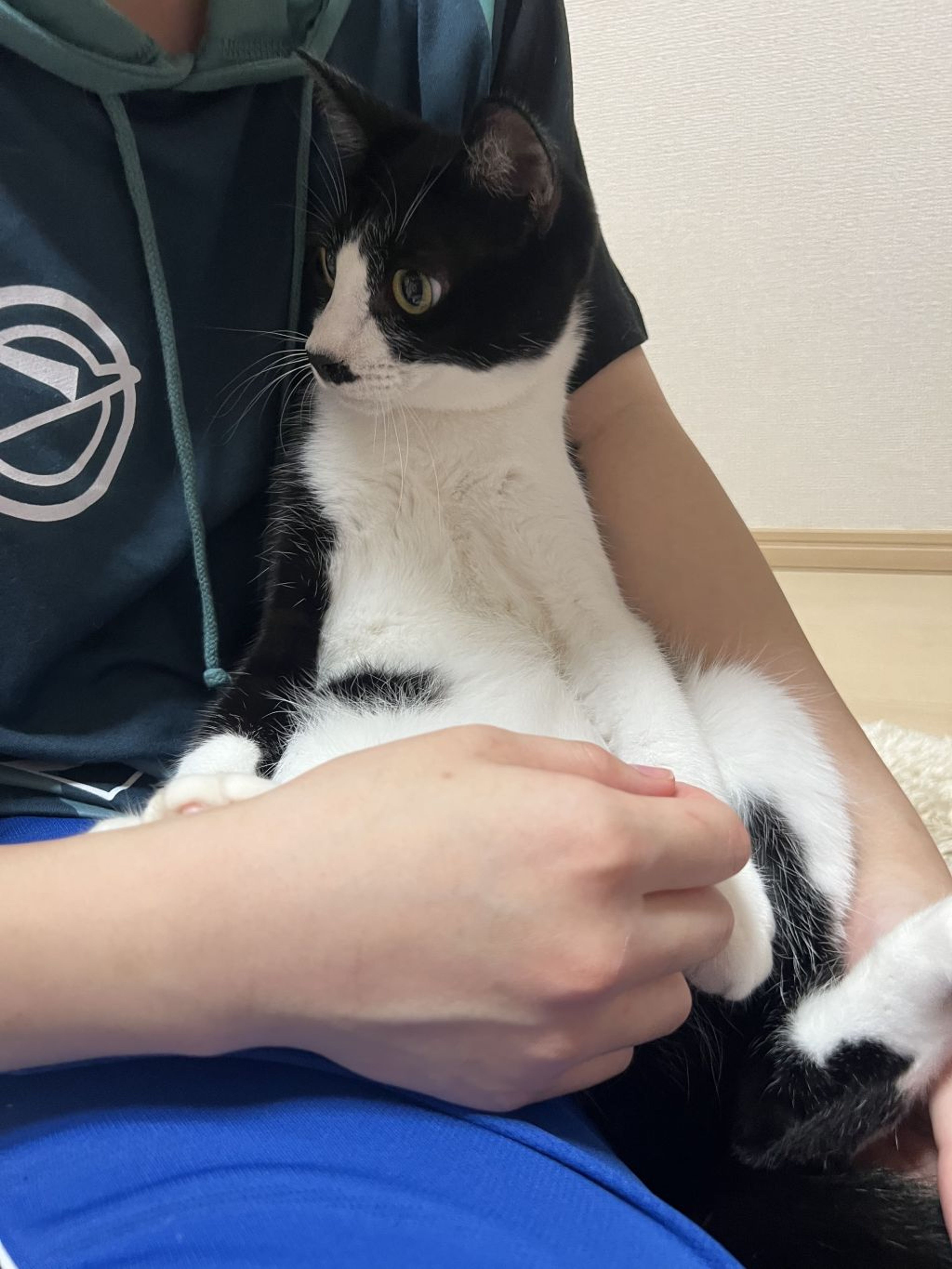 pet-image-2