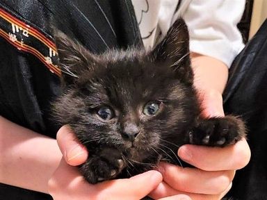 ろんちゃんの写真