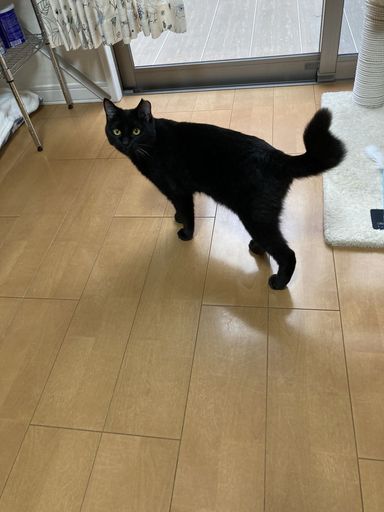 ジャックの写真
