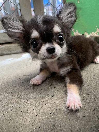 さっちょん
