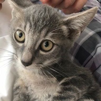 名無しちゃんの写真