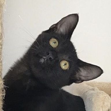 名無しちゃんの写真
