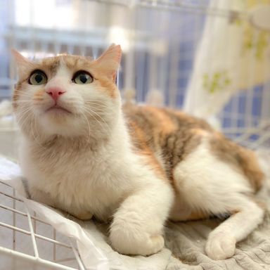 とみこの写真