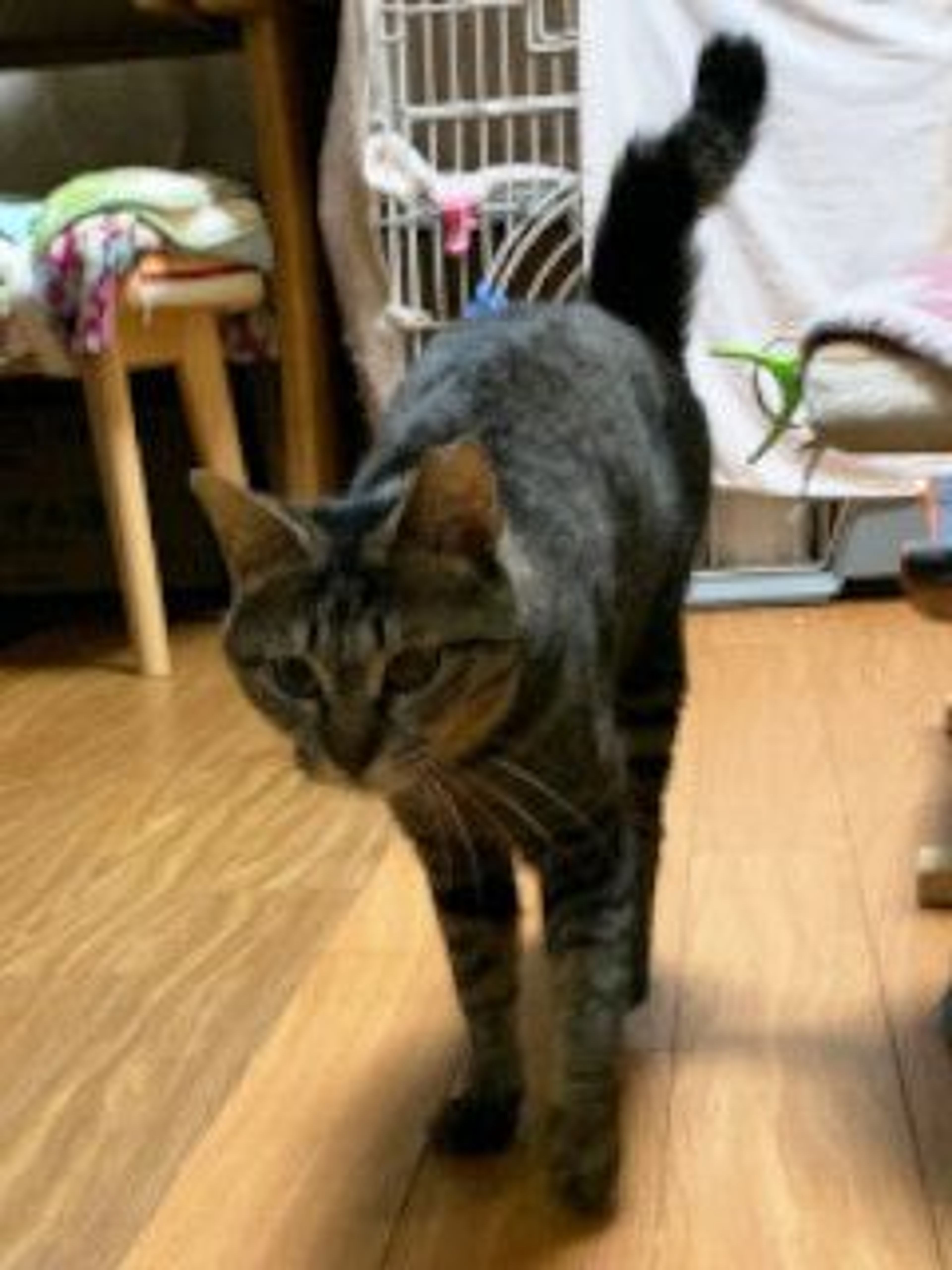 image-3