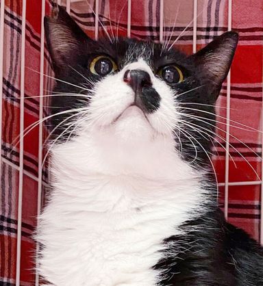 パンの写真