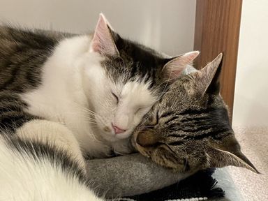 さくら＆ひかりの写真