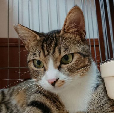 名無しちゃんの写真