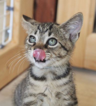 ソウルの写真
