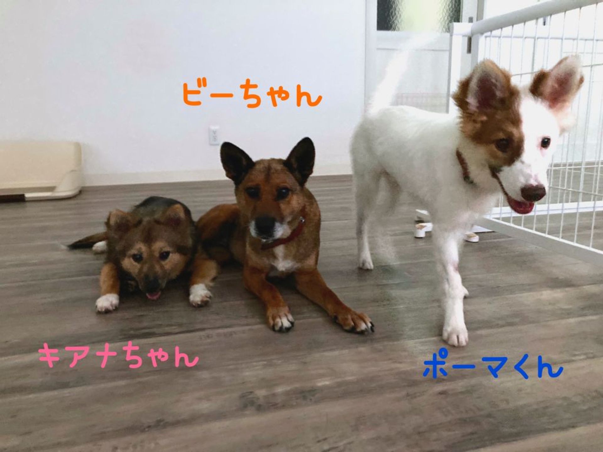 thumbnail-3