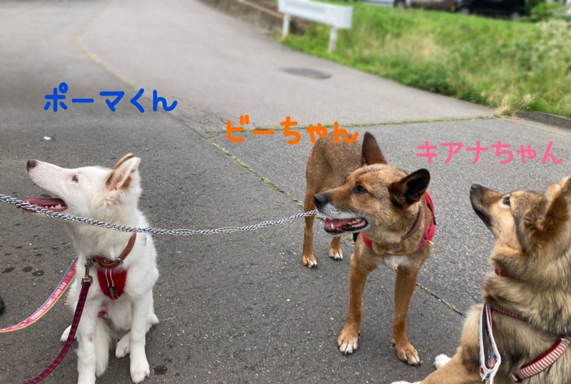 thumbnail-5