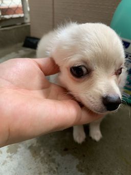 thumb-1
