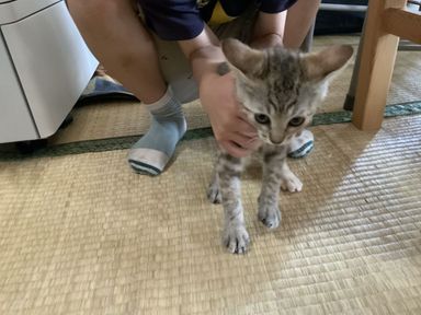 風の写真