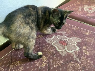 山の写真