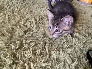 ハレの写真