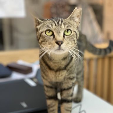 なるの写真
