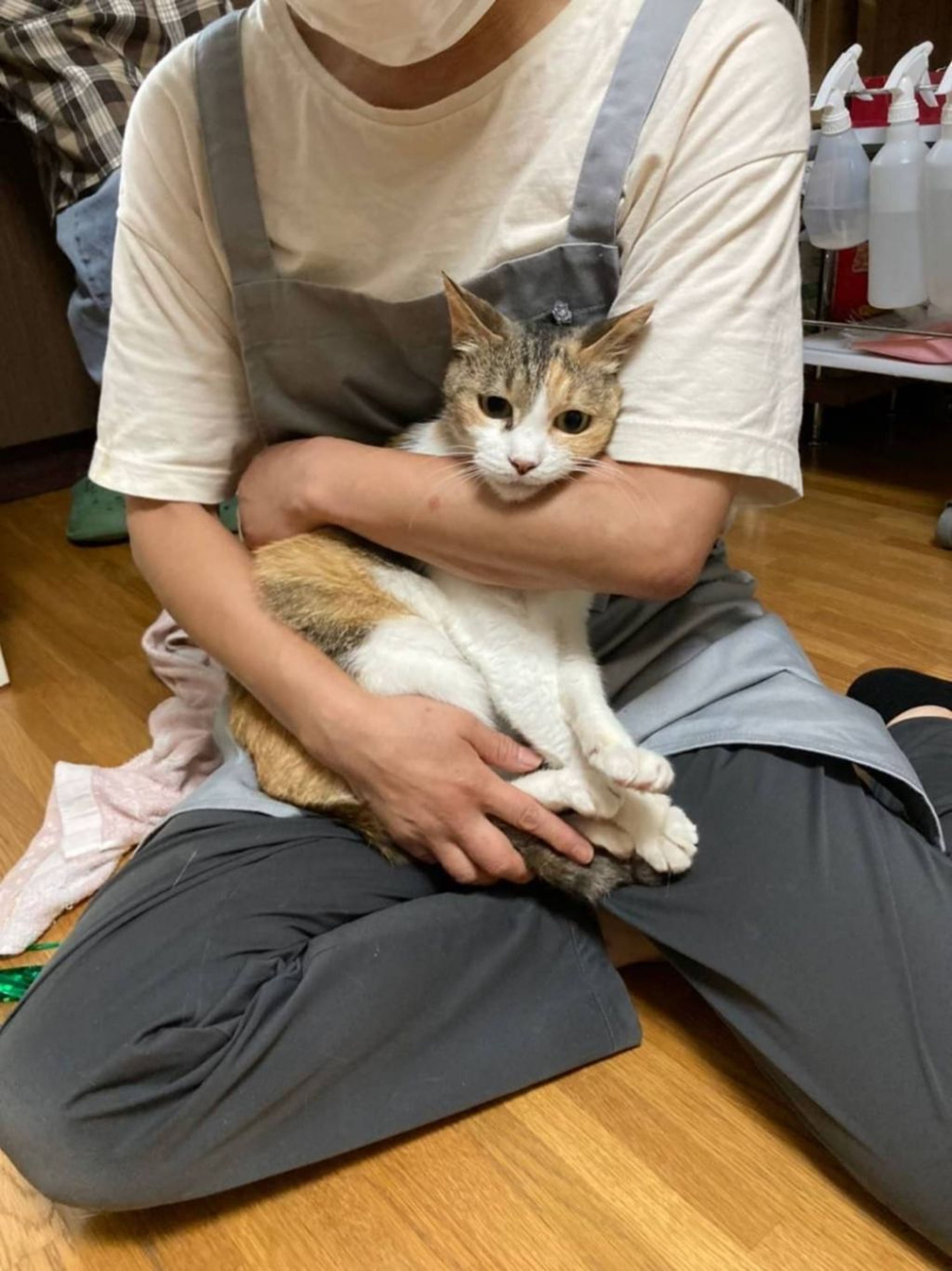 pet-image-3