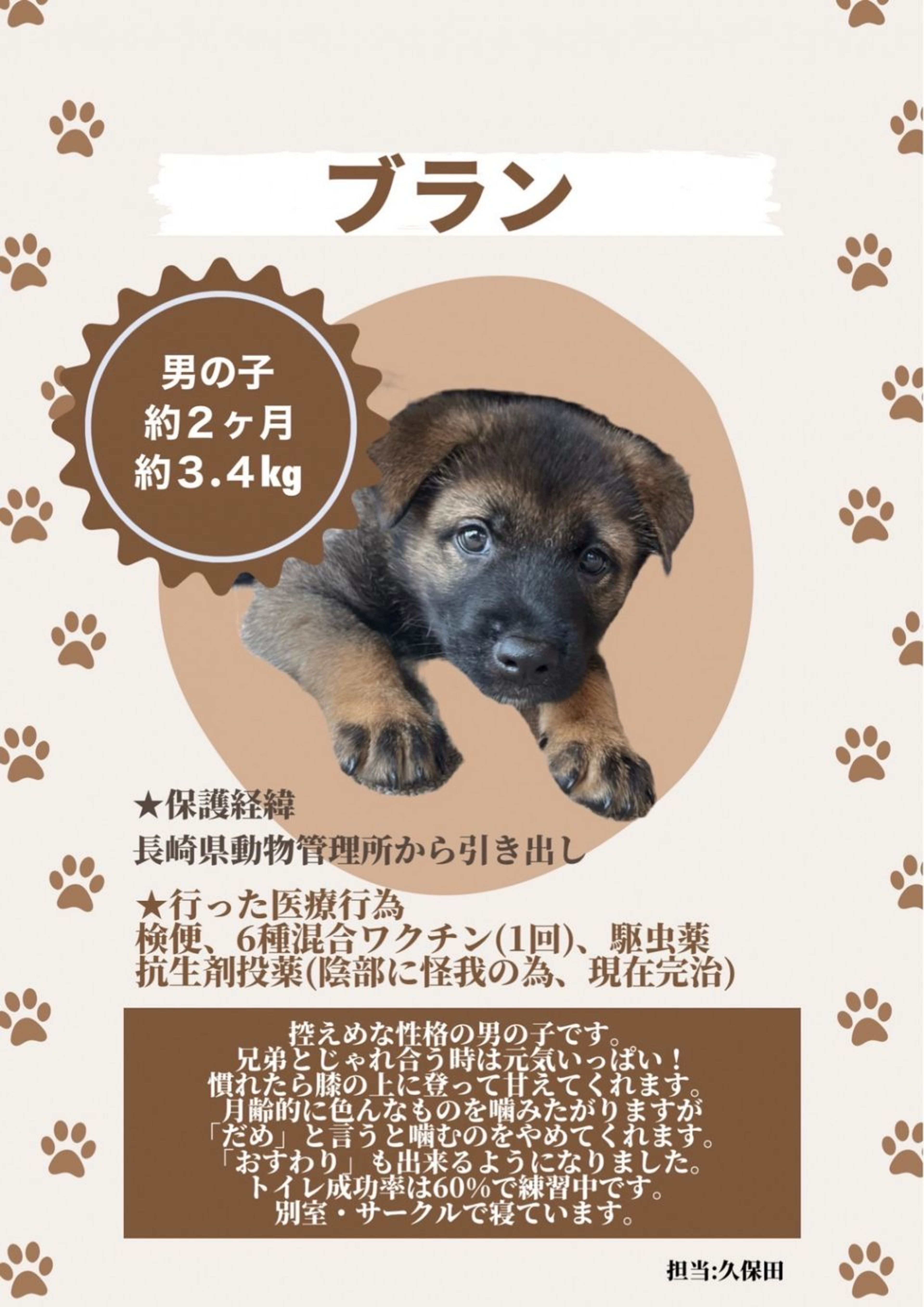 pet-image-4