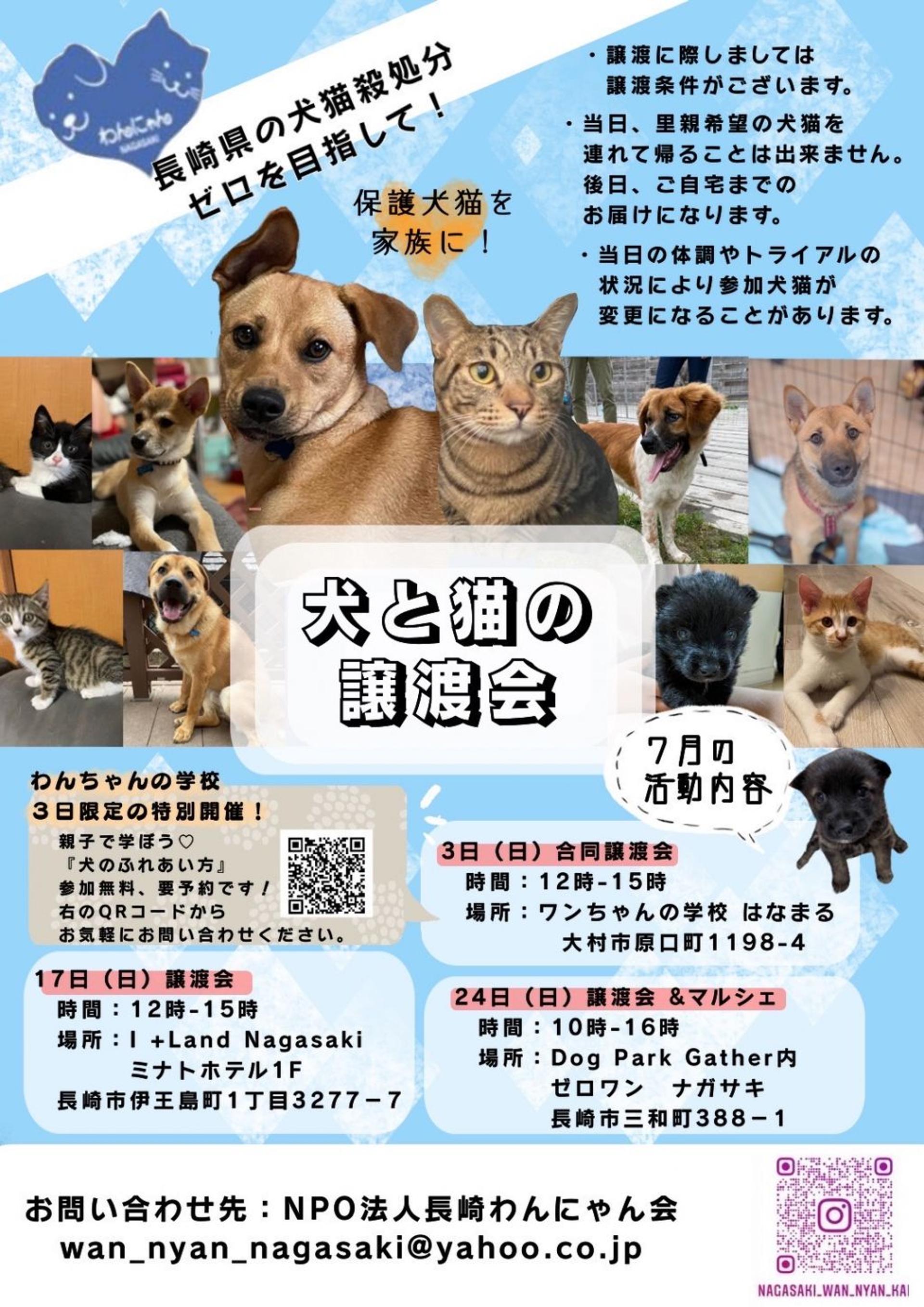 pet-image-5