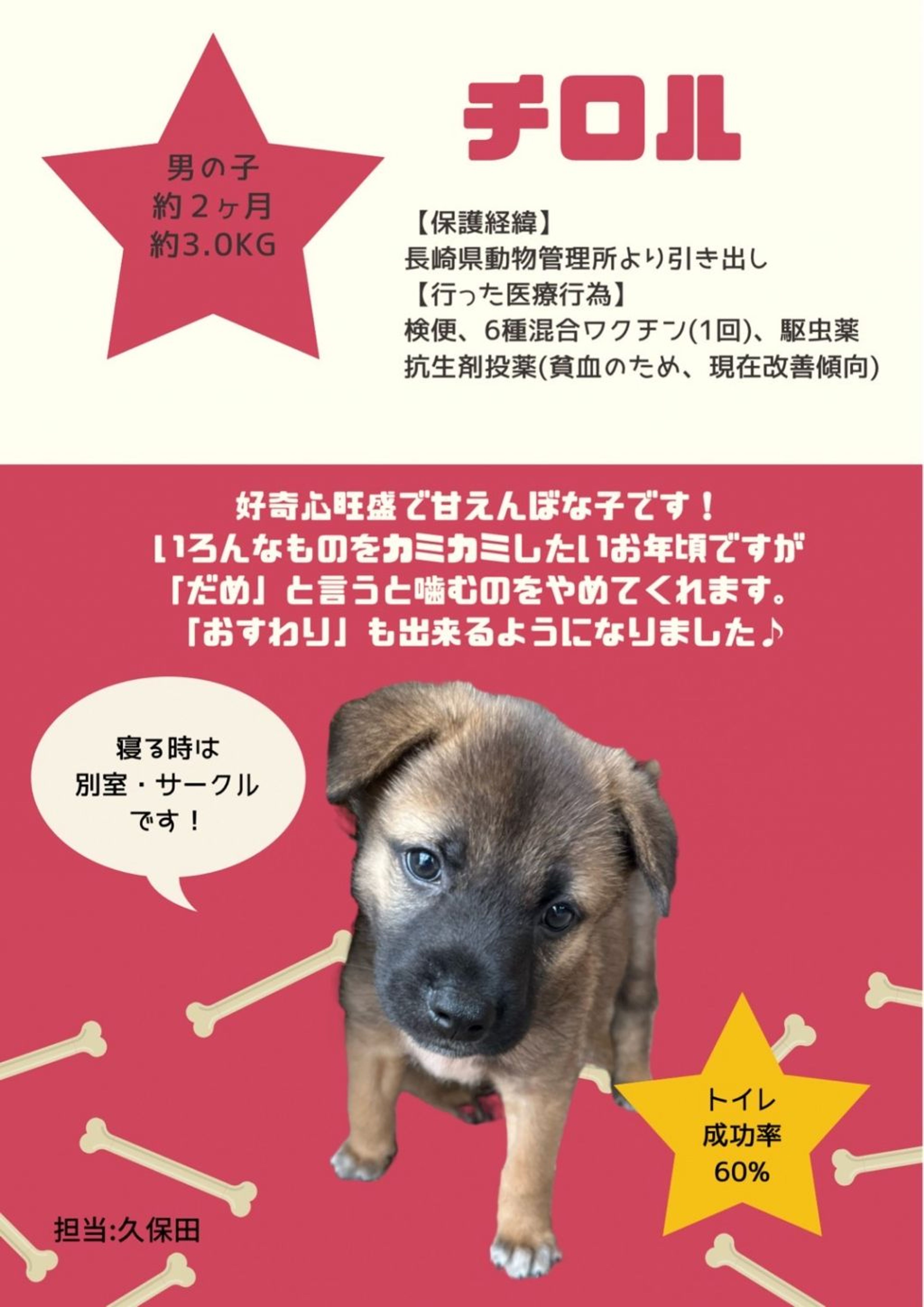 pet-image-5
