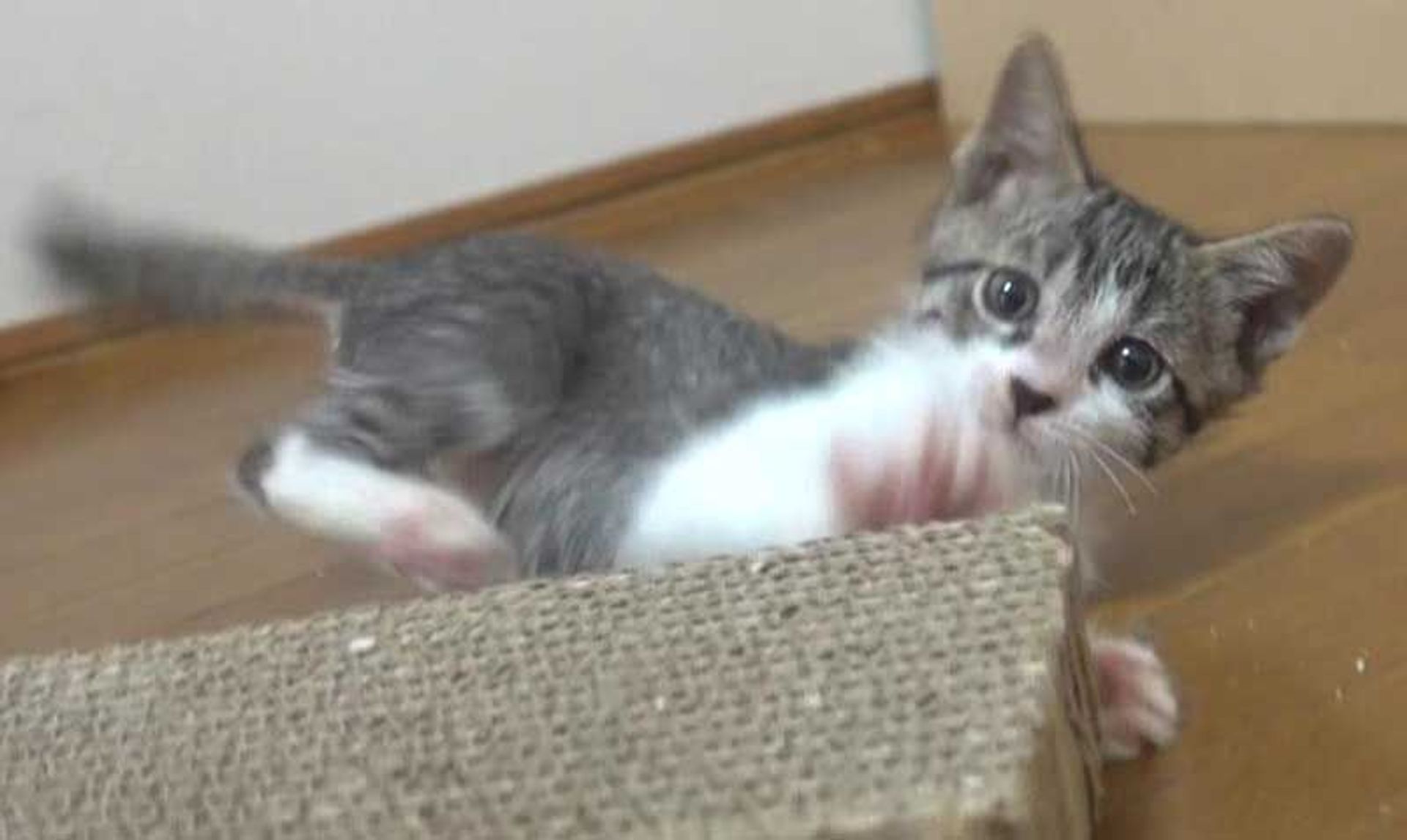 thumbnail-10
