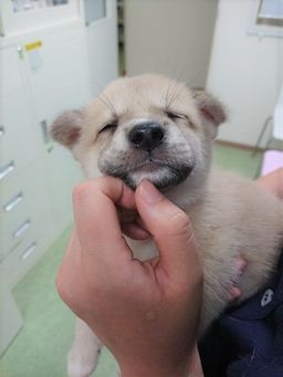 thumb-2